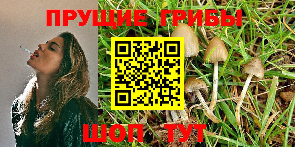Псилоцибиновые грибы Psilocybe  Вход с VPN  Пыть-Ях 
